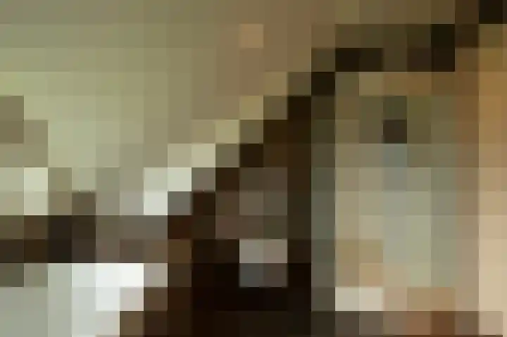 Nieuwe Kerkstraat 9 Nijkerkerveen thumbnail 29