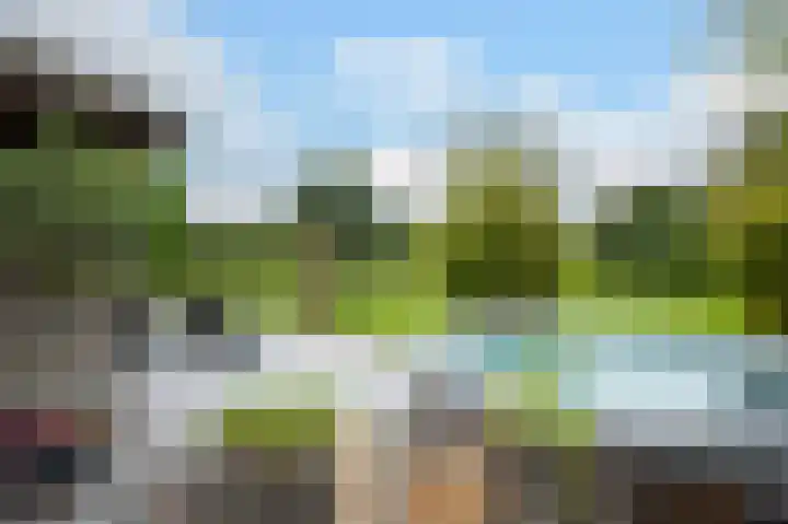 Nieuwe Kerkstraat 9 Nijkerkerveen thumbnail 37