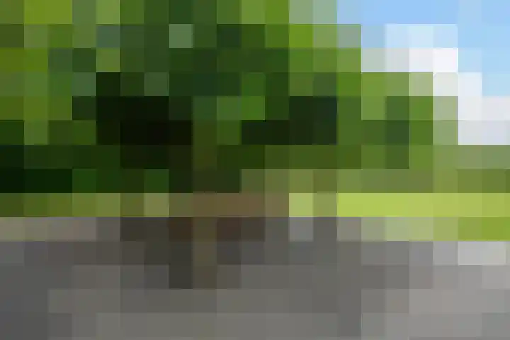 Nieuwe Kerkstraat 9 Nijkerkerveen thumbnail 41