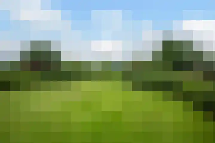 Nieuwe Kerkstraat 9 Nijkerkerveen thumbnail 46