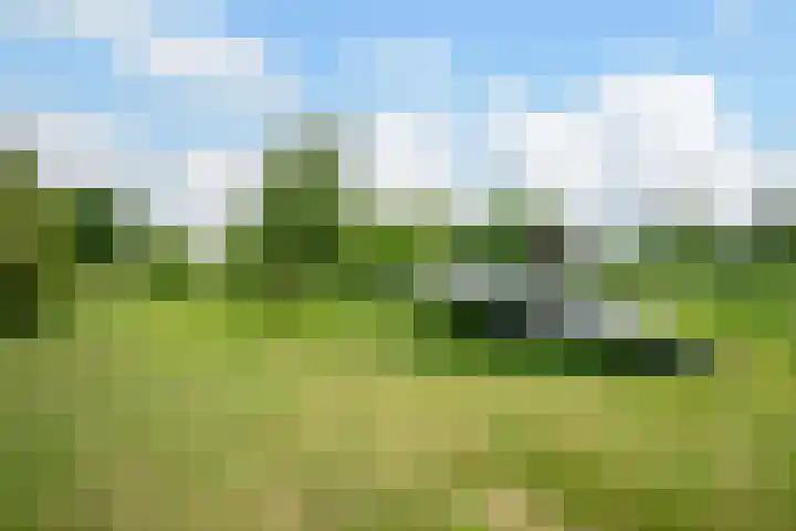 Nieuwe Kerkstraat 9 Nijkerkerveen thumbnail 47