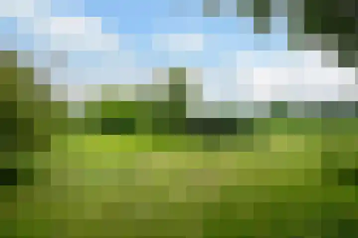 Nieuwe Kerkstraat 9 Nijkerkerveen thumbnail 48