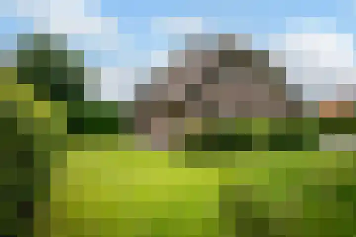 Nieuwe Kerkstraat 9 Nijkerkerveen thumbnail 49