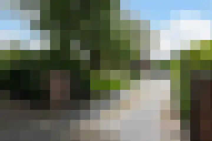 Nieuwe Kerkstraat 9 Nijkerkerveen thumbnail 52