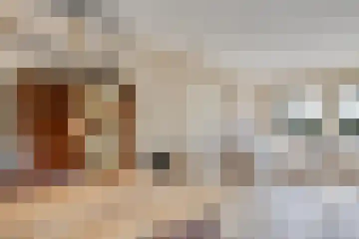 Nieuwe Kerkweg 1 Scharendijke thumbnail 10