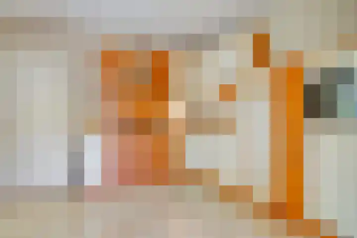 Nieuwe Kerkweg 1 Scharendijke thumbnail 11