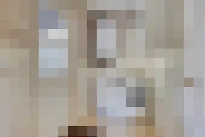 Nieuwe Kerkweg 1 Scharendijke thumbnail 12