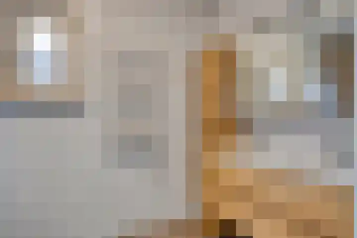 Nieuwe Kerkweg 1 Scharendijke thumbnail 15