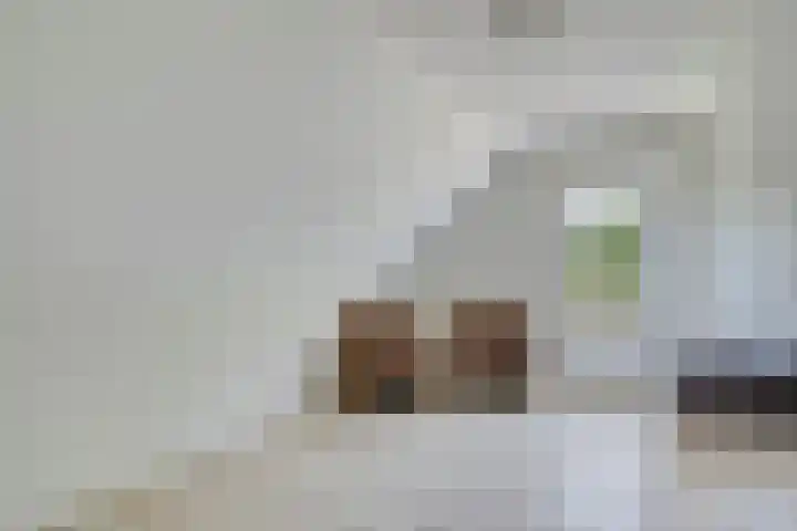Nieuwe Kerkweg 1 Scharendijke thumbnail 18