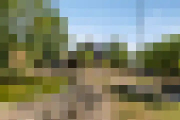 Nieuwe Kerkweg 1 Scharendijke foto 2