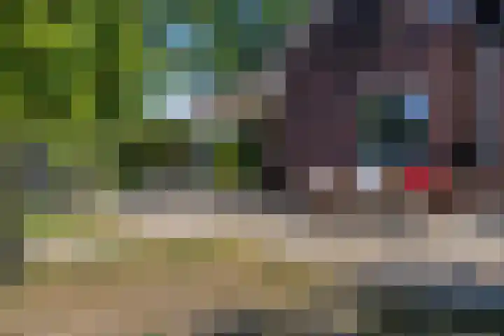 Nieuwe Kerkweg 1 Scharendijke thumbnail 20