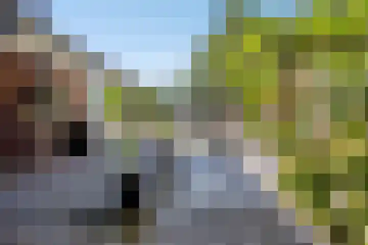 Nieuwe Kerkweg 1 Scharendijke thumbnail 22