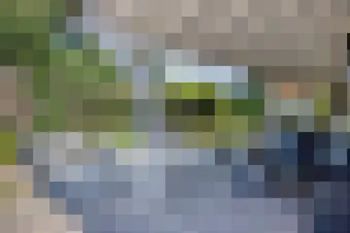 Nieuwe Kerkweg 1 Scharendijke thumbnail 23