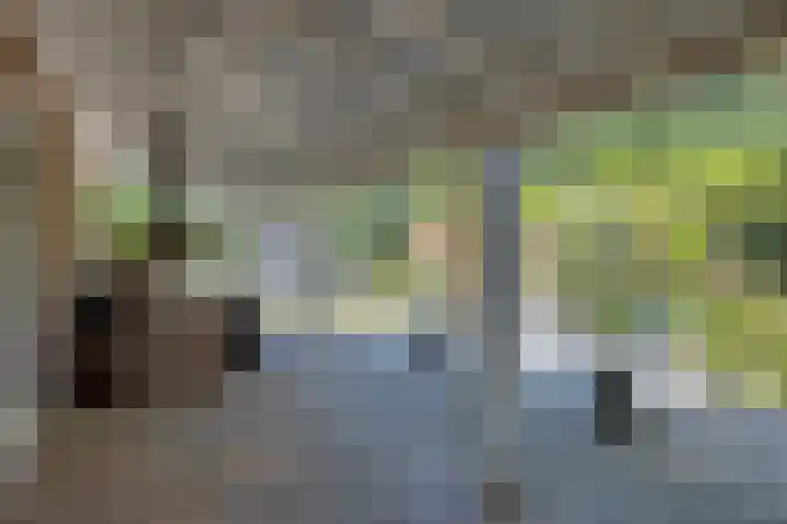 Nieuwe Kerkweg 1 Scharendijke thumbnail 24