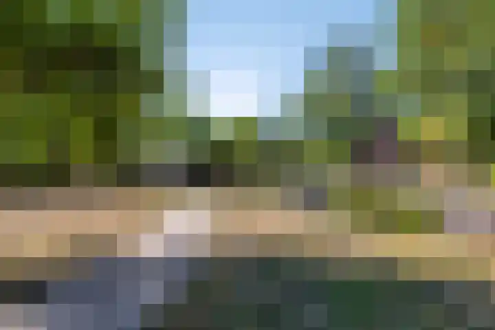Nieuwe Kerkweg 1 Scharendijke thumbnail 25