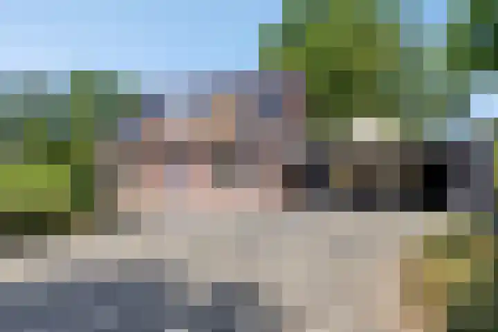 Nieuwe Kerkweg 1 Scharendijke thumbnail 28