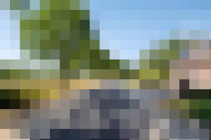 Nieuwe Kerkweg 1 Scharendijke thumbnail 29