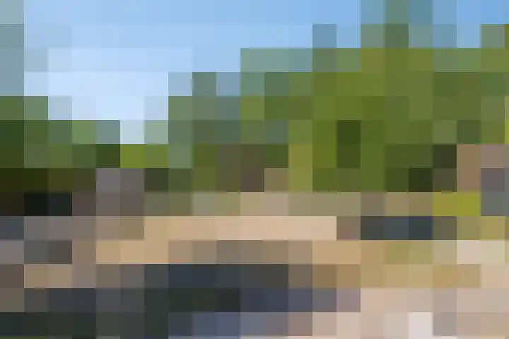 Nieuwe Kerkweg 1 Scharendijke foto 3