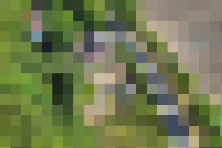 Nieuwe Kerkweg 1 Scharendijke thumbnail 5