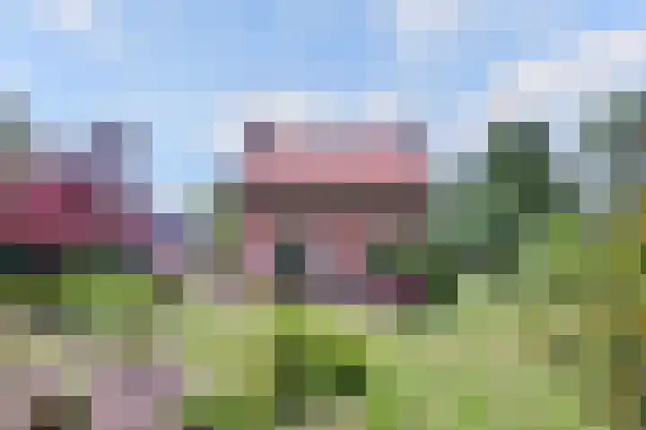 Nieuwe Kerkweg 1 Wehl