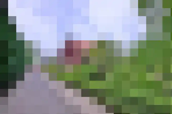 Nieuwe Kerkweg 1 Wehl thumbnail 10