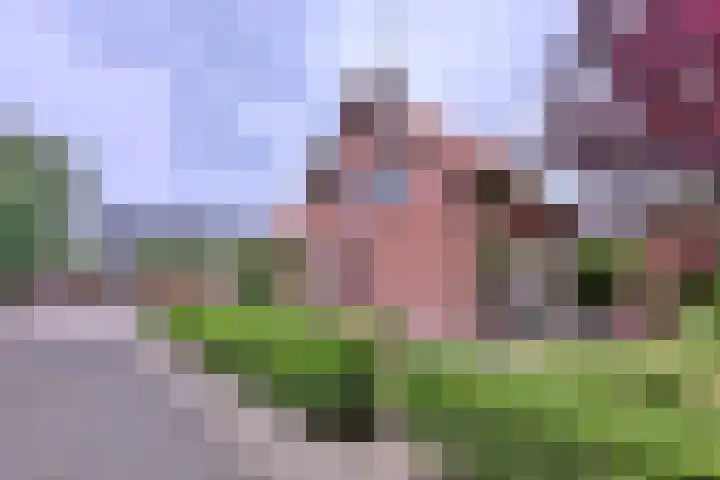 Nieuwe Kerkweg 1 Wehl thumbnail 11