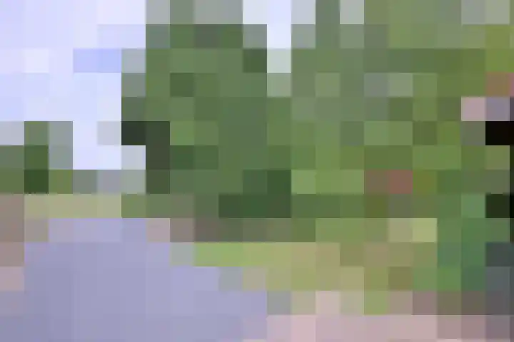Nieuwe Kerkweg 1 Wehl thumbnail 12