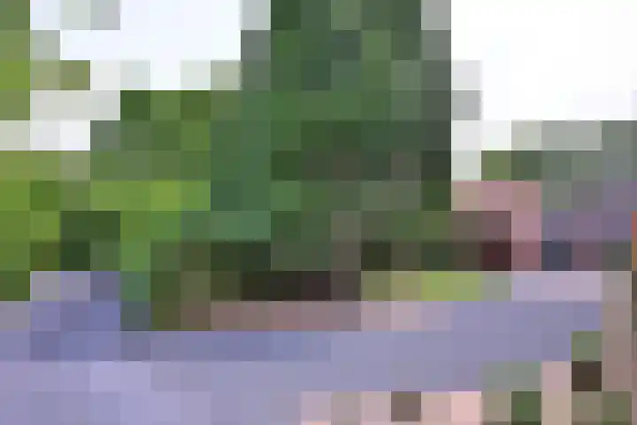 Nieuwe Kerkweg 1 Wehl thumbnail 13