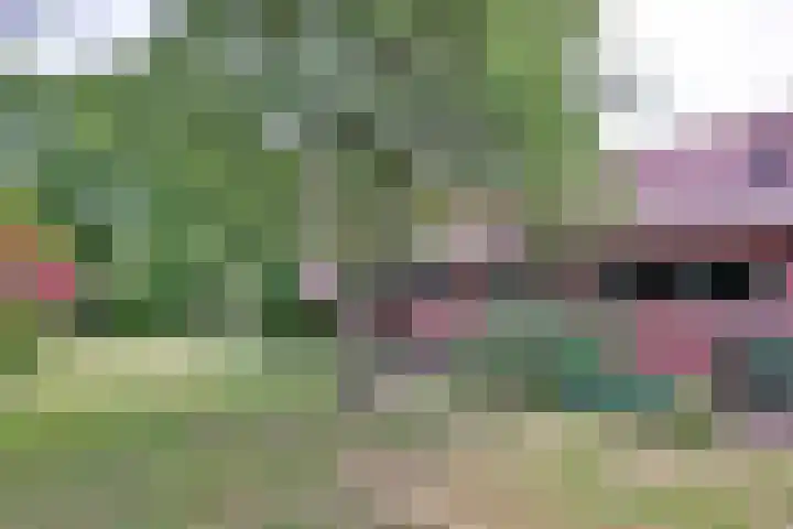Nieuwe Kerkweg 1 Wehl thumbnail 14