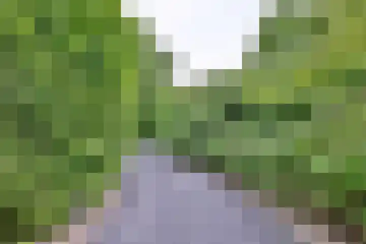 Nieuwe Kerkweg 1 Wehl thumbnail 15
