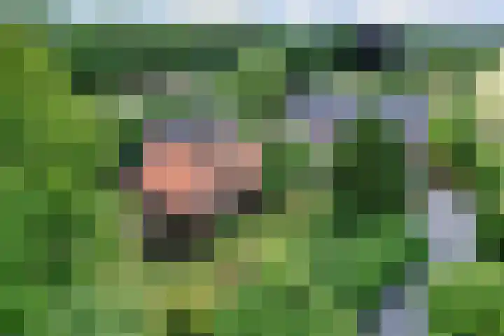 Nieuwe Kerkweg 1 Wehl foto 2