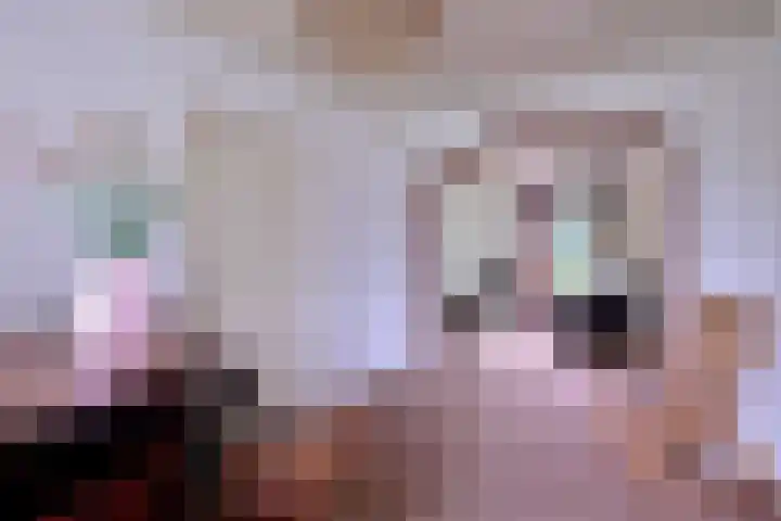 Nieuwe Kerkweg 1 Wehl thumbnail 20