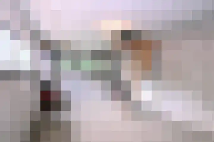 Nieuwe Kerkweg 1 Wehl thumbnail 32