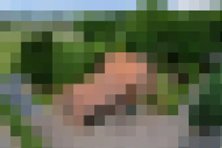 Nieuwe Kerkweg 1 Wehl thumbnail 4