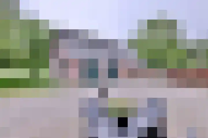 Nieuwe Kerkweg 1 Wehl thumbnail 47