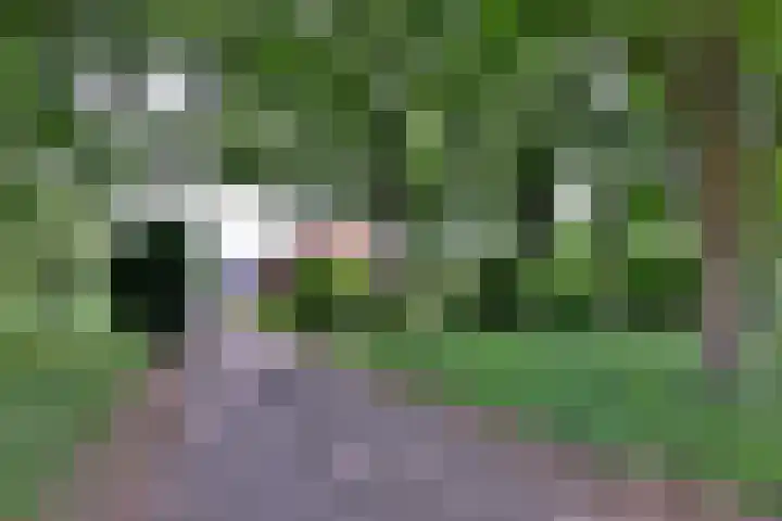 Nieuwe Kerkweg 1 Wehl thumbnail 54