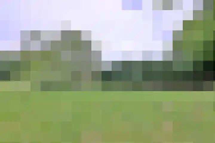 Nieuwe Kerkweg 1 Wehl thumbnail 55