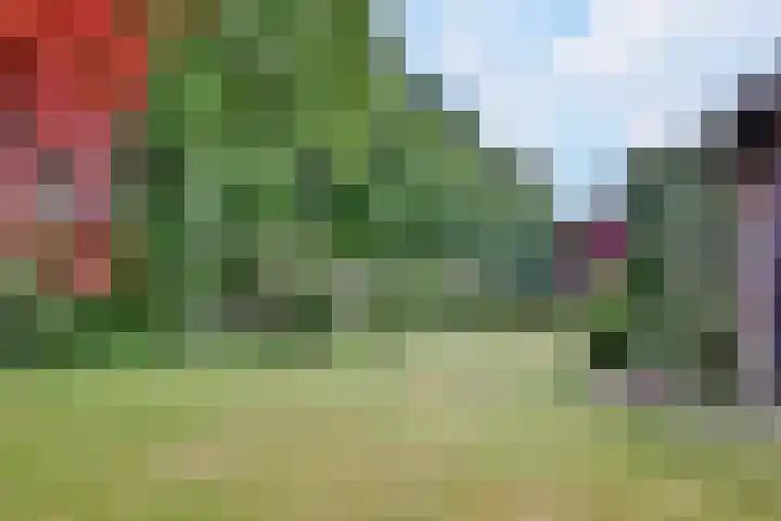 Nieuwe Kerkweg 1 Wehl thumbnail 56