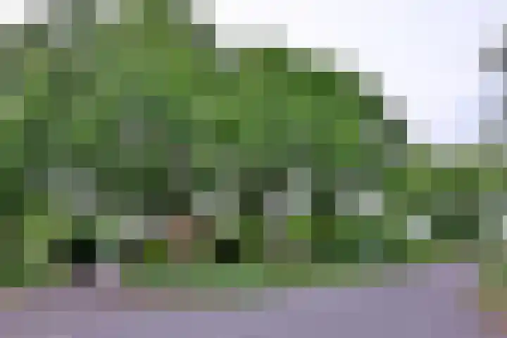 Nieuwe Kerkweg 1 Wehl thumbnail 57