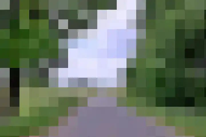 Nieuwe Kerkweg 1 Wehl thumbnail 58