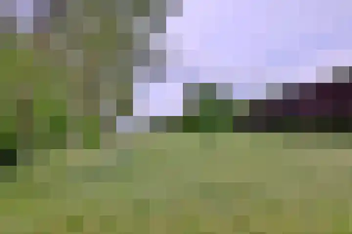 Nieuwe Kerkweg 1 Wehl thumbnail 59