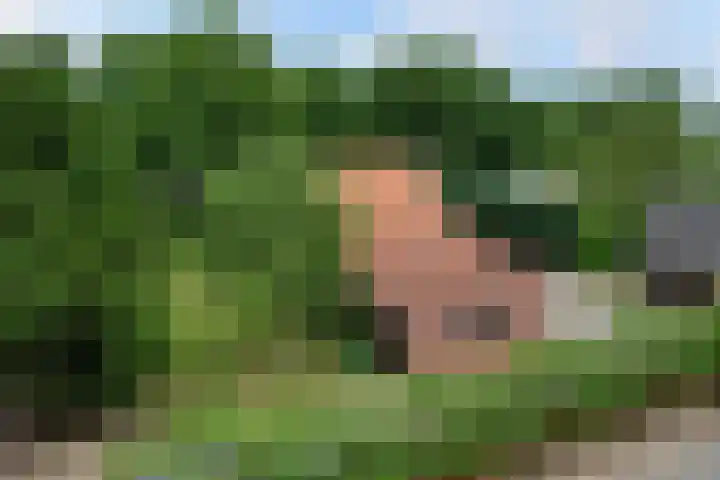 Nieuwe Kerkweg 1 Wehl thumbnail 6