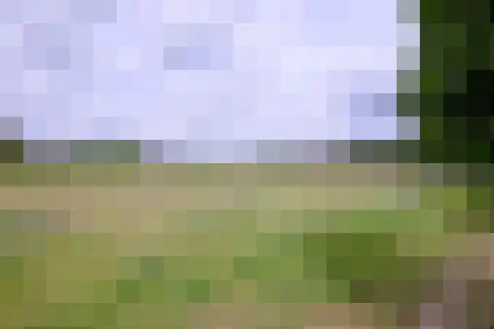 Nieuwe Kerkweg 1 Wehl thumbnail 60
