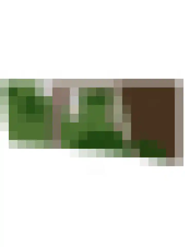 Nieuwe Kerkweg 1 Wehl thumbnail 62