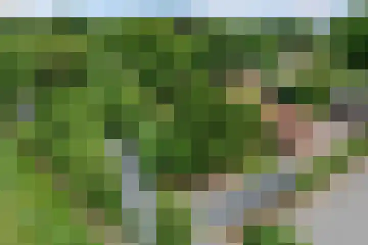 Nieuwe Kerkweg 1 Wehl thumbnail 7