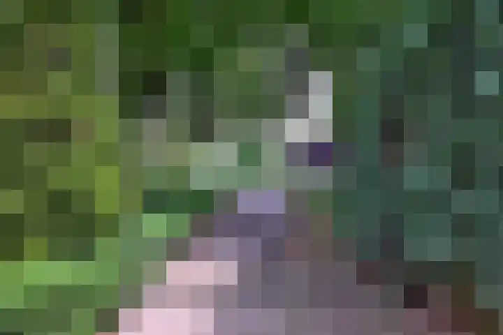 Nieuwe Kerkweg 1 Wehl thumbnail 9