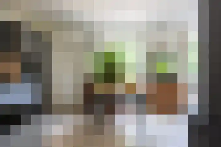 Nieuwe Kerkweg 14 Wehl thumbnail 10
