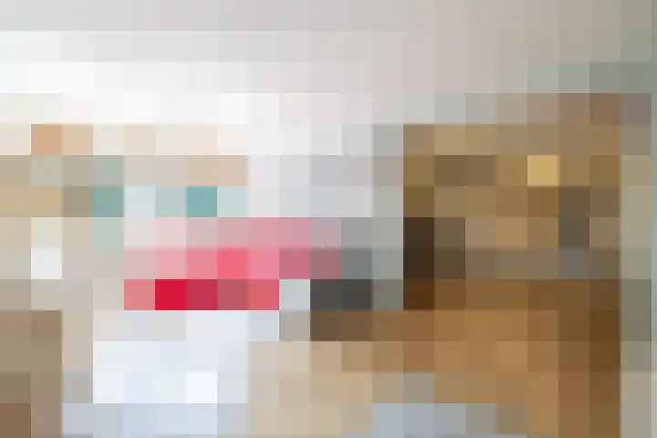 Nieuwe Kerkweg 14 Wehl thumbnail 16