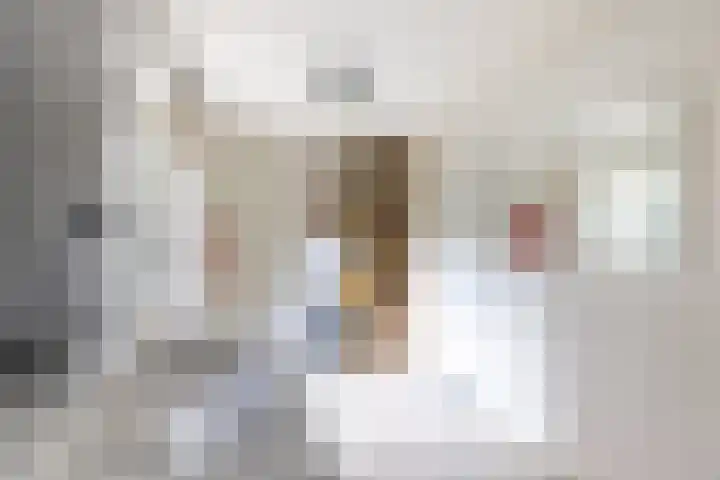 Nieuwe Kerkweg 14 Wehl thumbnail 17