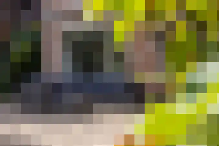 Nieuwe Kerkweg 14 Wehl thumbnail 18